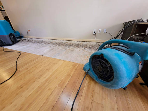 Professional Water Damage Repair technician working in Beaverdam, OH